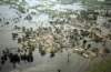 inundation17_small.jpg
